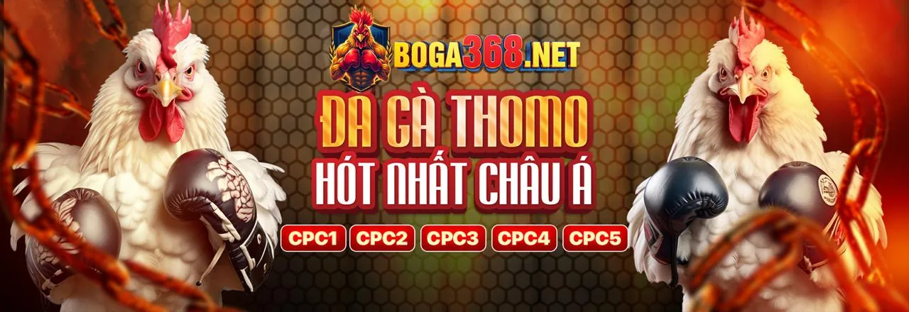 Thế giới bắn cá 3bet trang chủ chính thức