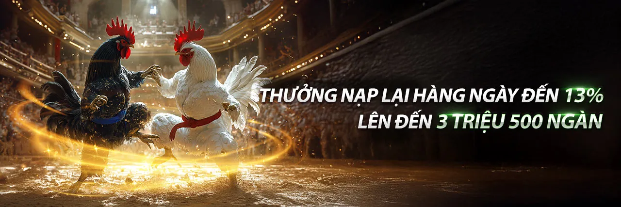 Bài viết nổi bật về hướng dẫn chơi 3bet